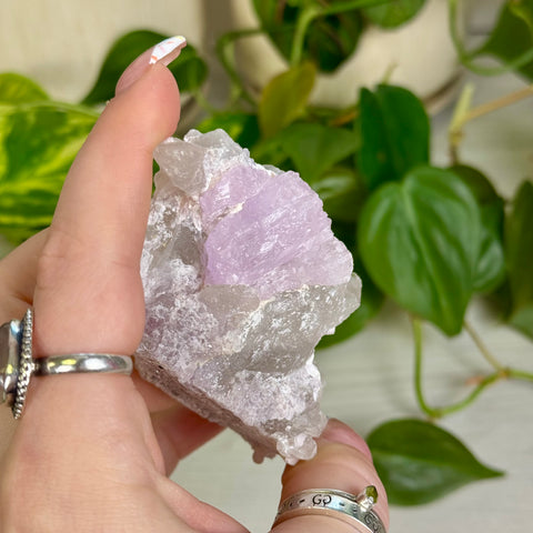 Kunzite Specimen - G