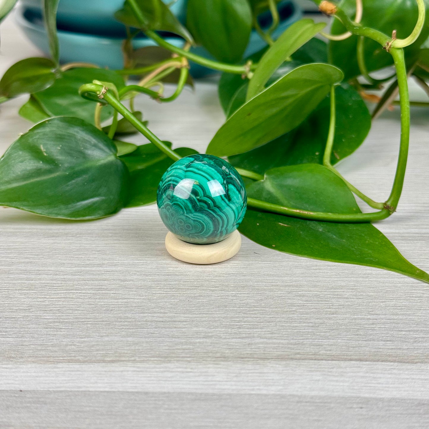 Cheerio Sphere Stands (5-Pack)