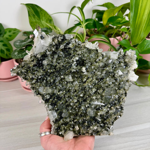 Black Epidote & Chlorite Quartz Specimen (Forest Quartz)