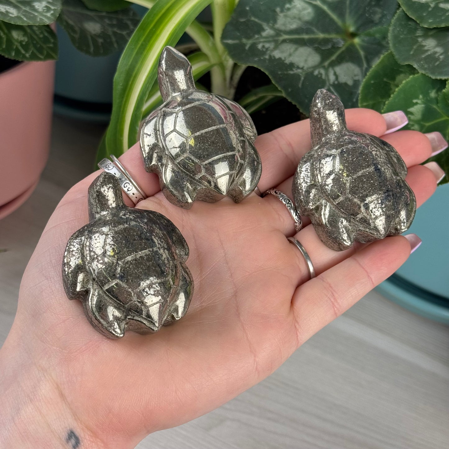 Pyrite Turtle