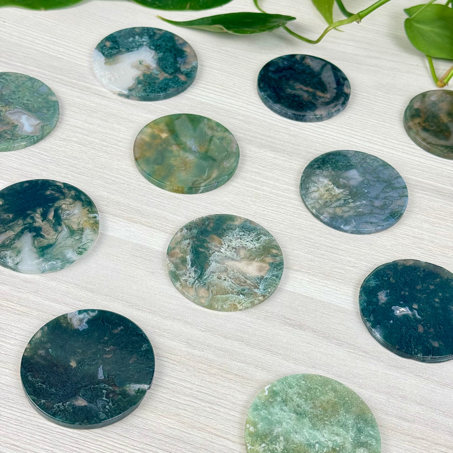 Moss Agate Poker Chip
