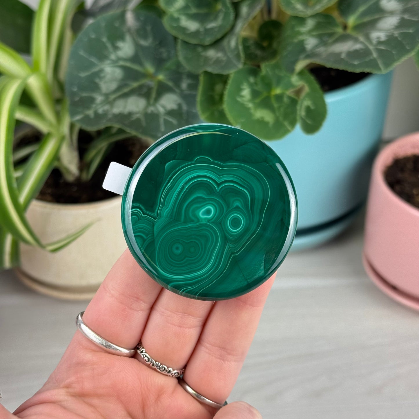 Malachite Cookie - B1