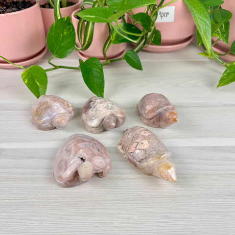 Imperfect Flower Agate Turtle - Crystal Carving
