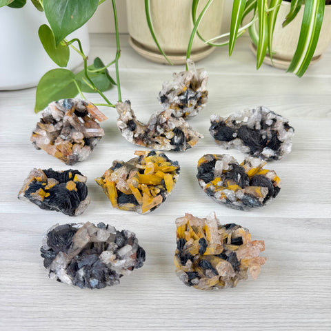 Hematite Roses With Harlequin Quartz Specimen