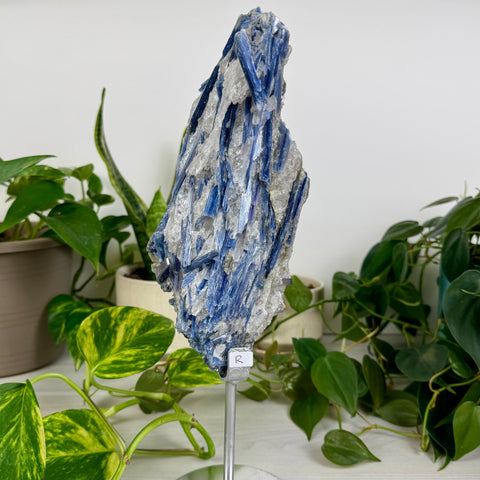 Kyanite Cluster (W/ Custom Stand)