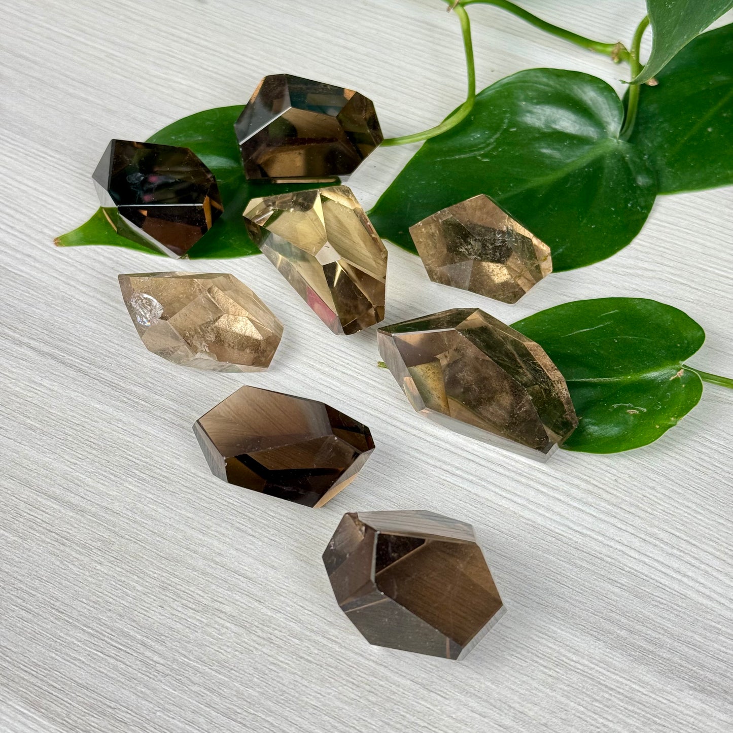 Smoky Quartz Gusher