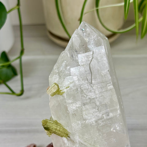 Green Tourmaline On Albite