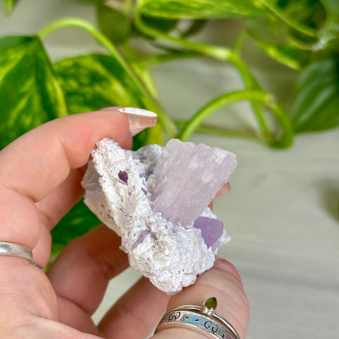 Kunzite Specimen - C