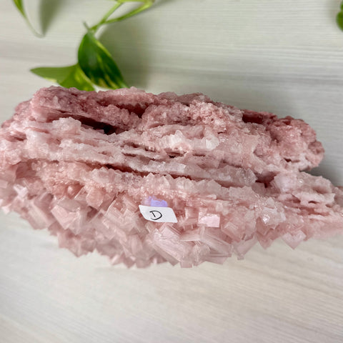 Statement Pink Halite - D