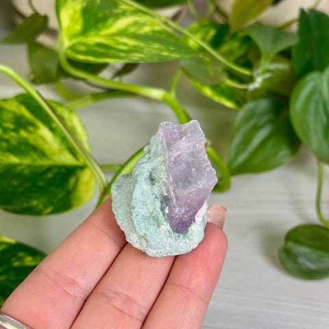 Kunzite Specimen - A