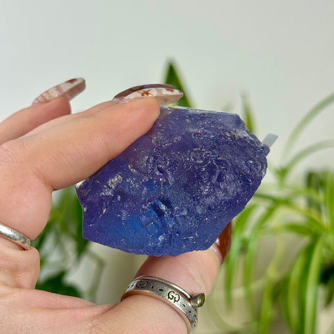 Bicolour Kunzite
