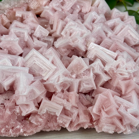 Statement Pink Halite - B