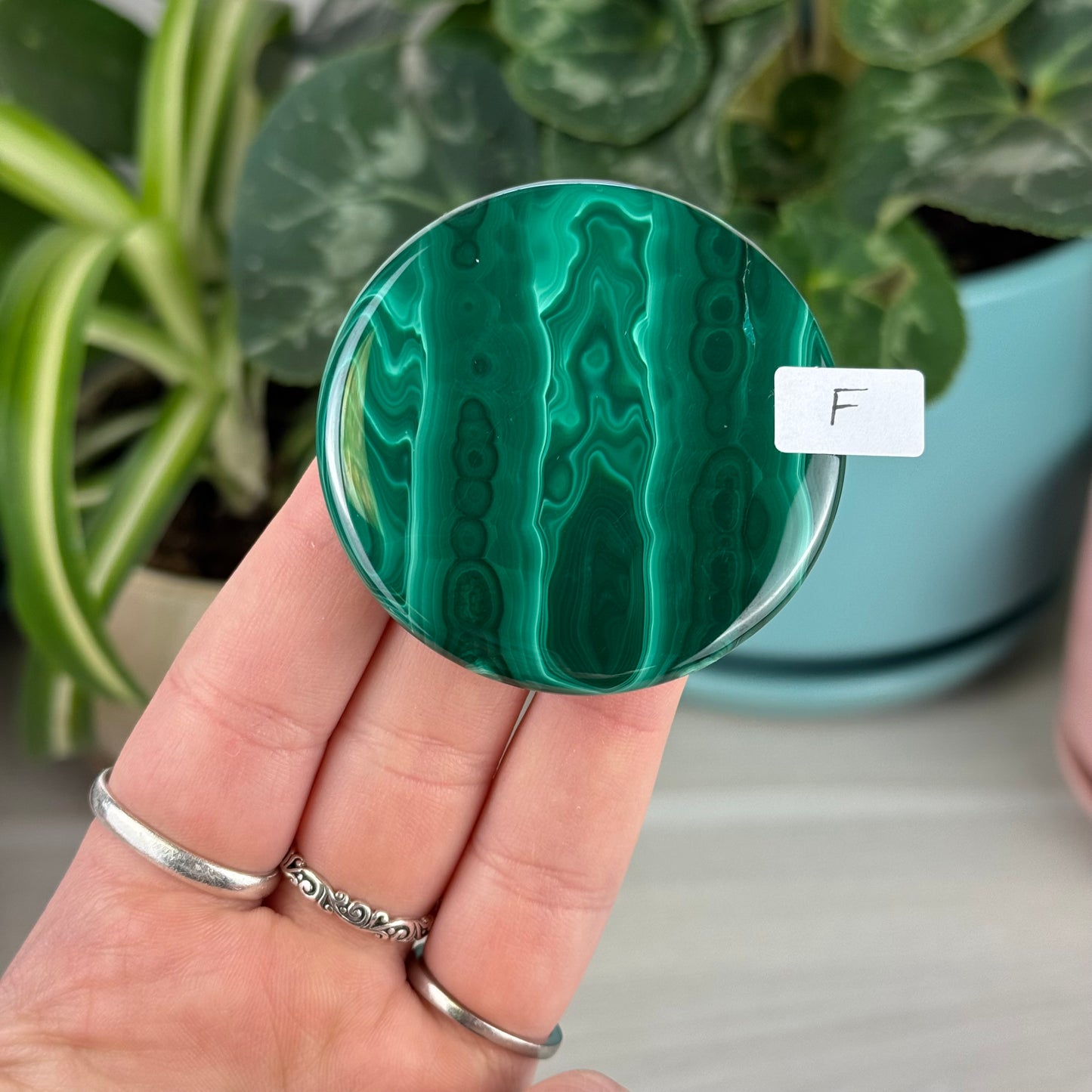 Malachite Cookie - F1