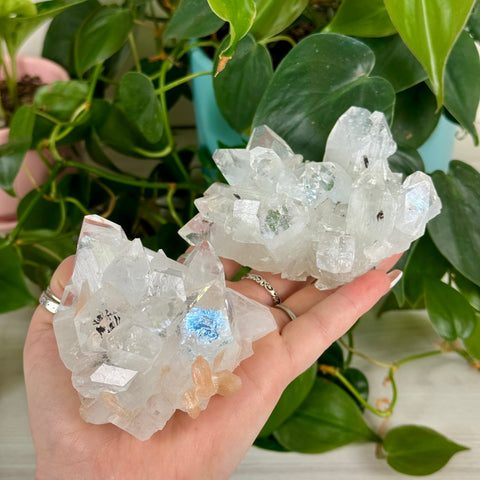 Apophyllite Cluster