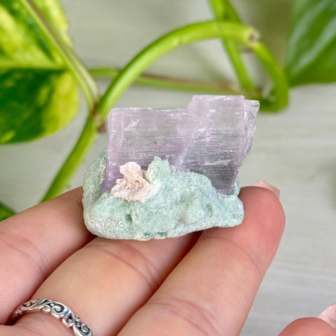 Kunzite Specimen - A