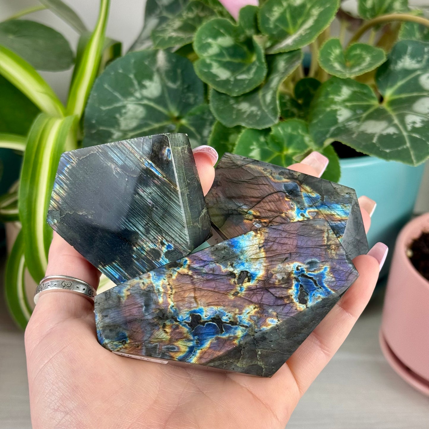 Spectrolite Free Form