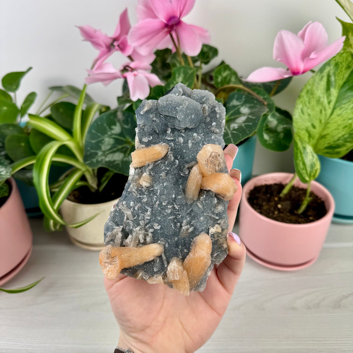 Orange Stilbite On Sparkling Blue Chalcedony