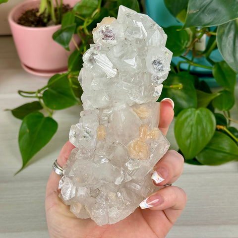 Apophyllite Cluster