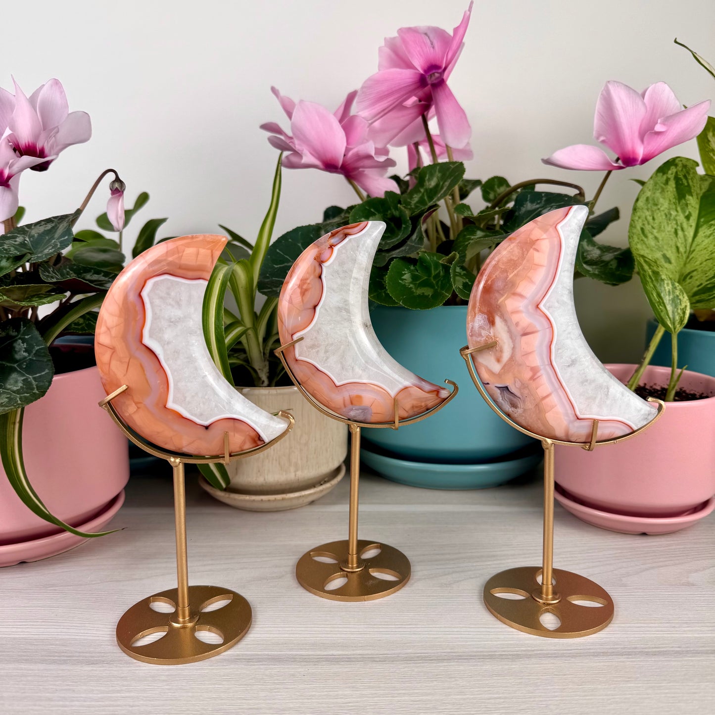 Pink Carnelian Moon (W/ Stand)