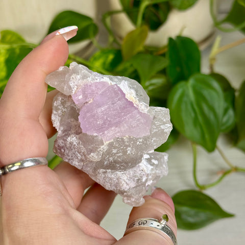 Kunzite Specimen - G