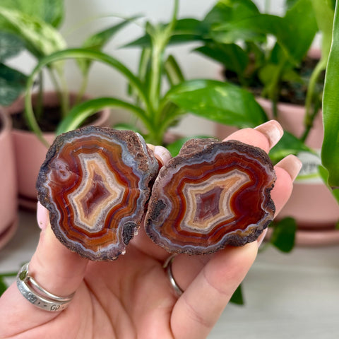Perfect Malawi Agate Pair