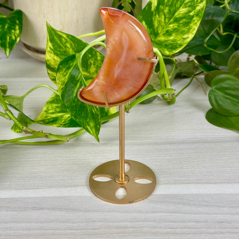 Carnelian Moon (W/ Custom Stand)