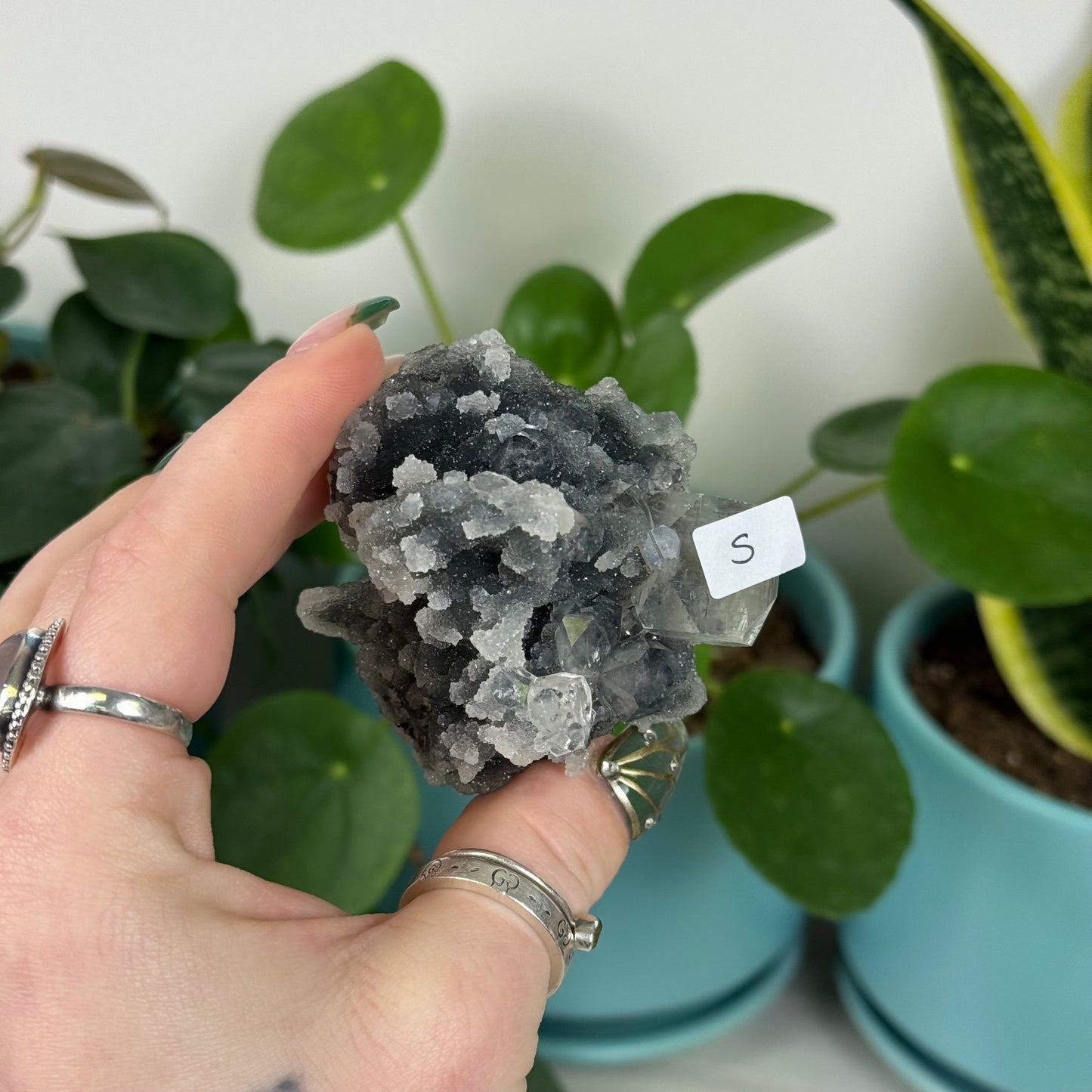 Black Chalcedony with Glossy Apophyllite
