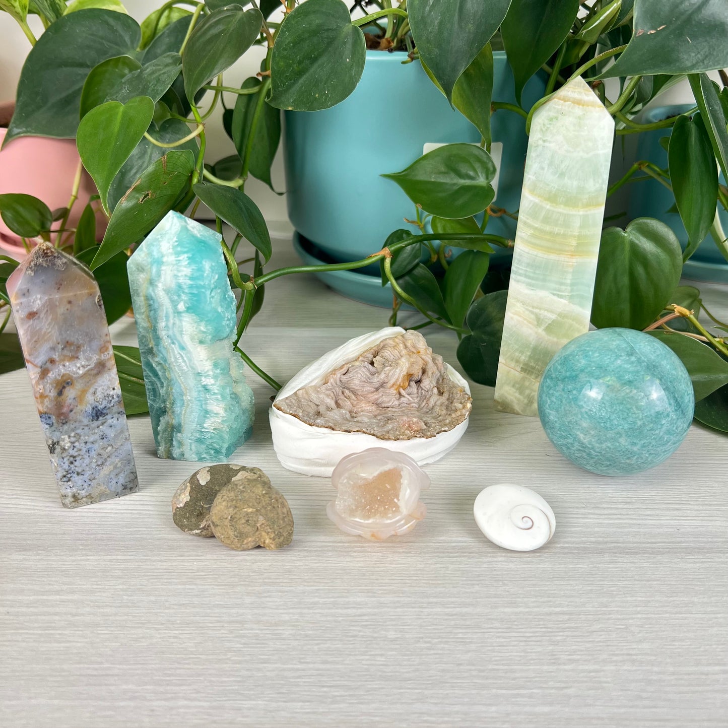 Statement Bundle - C2