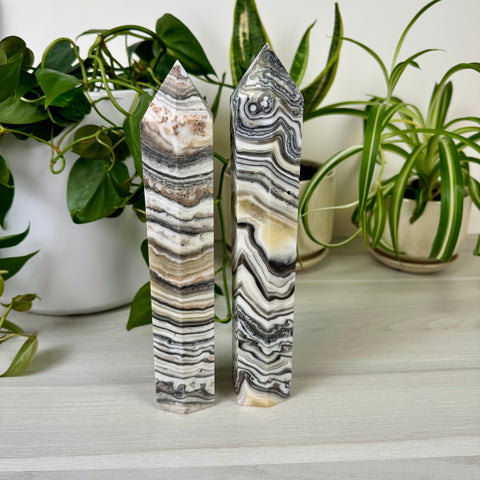 Zebra Jasper Tower