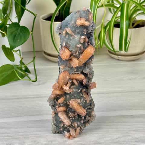 Pumpkin Stilbite On Chalcedony