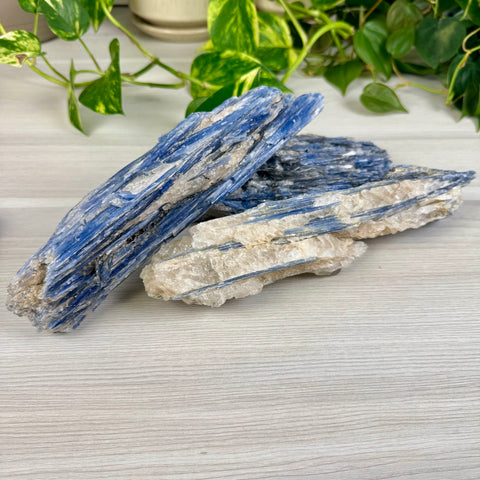 Blue Kyanite Cluster