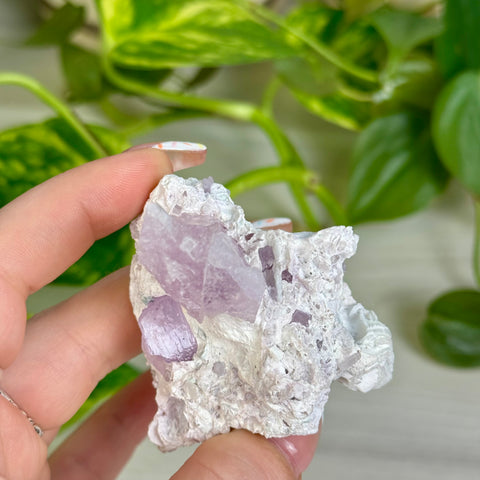 Kunzite Specimen - C