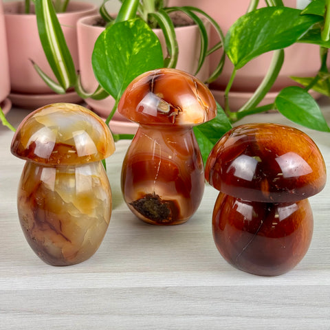 Carnelian Mushroom - Crystal Carving