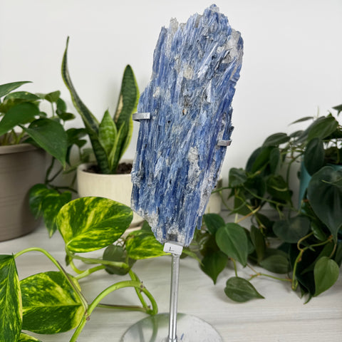 Kyanite Cluster (W/ Custom Stand)