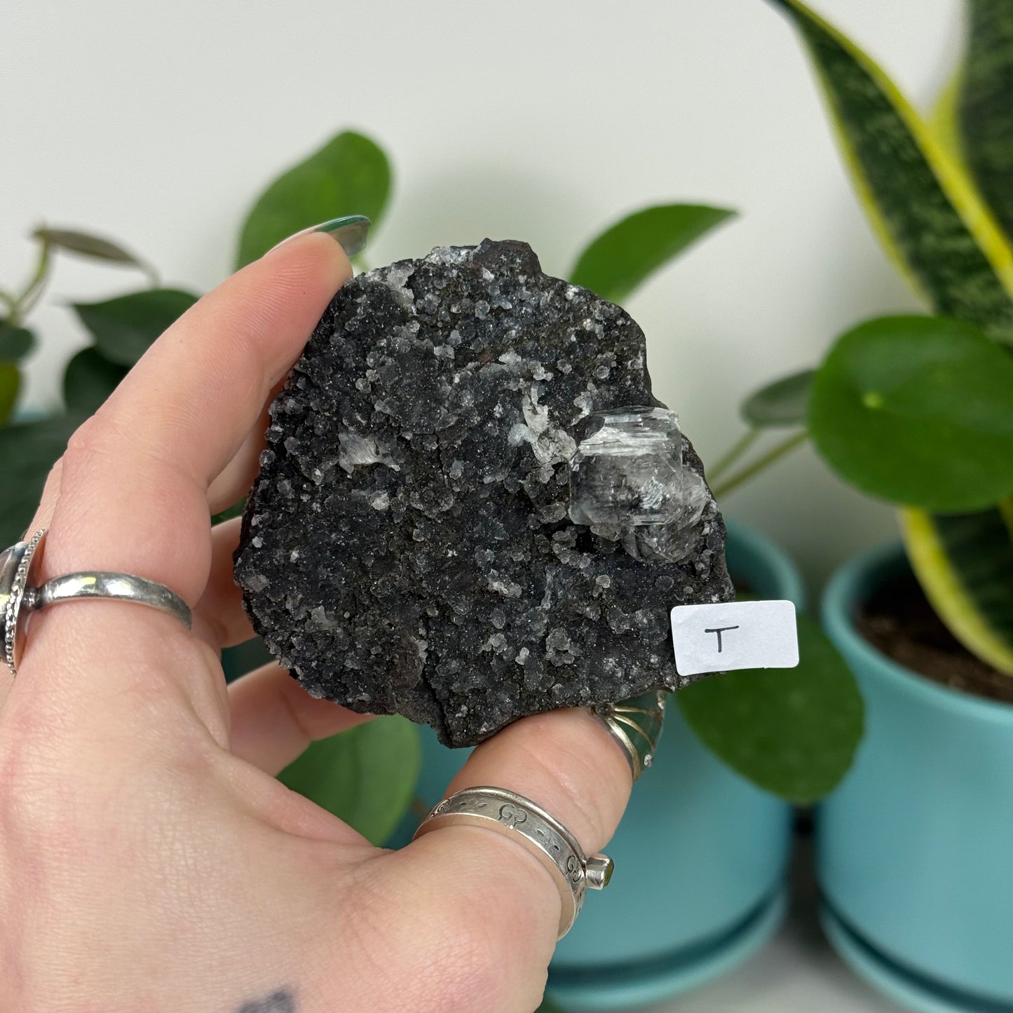 Black Chalcedony with Glossy Apophyllite