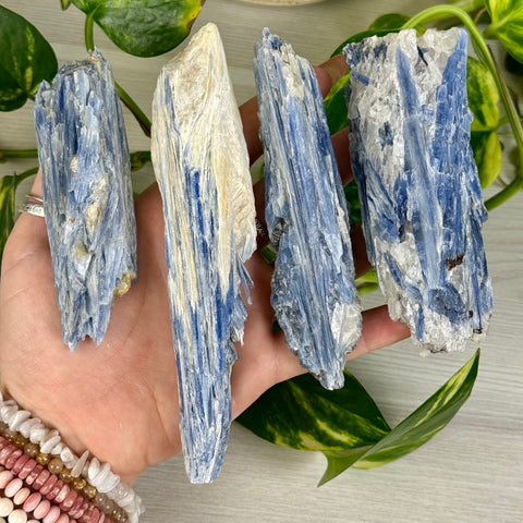 Blue Kyanite Cluster