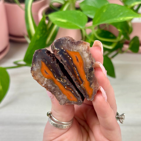 Perfect Malawi Agate Pair