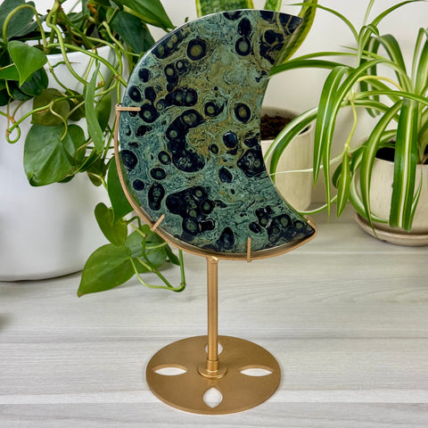 Kambaba Jasper Moon