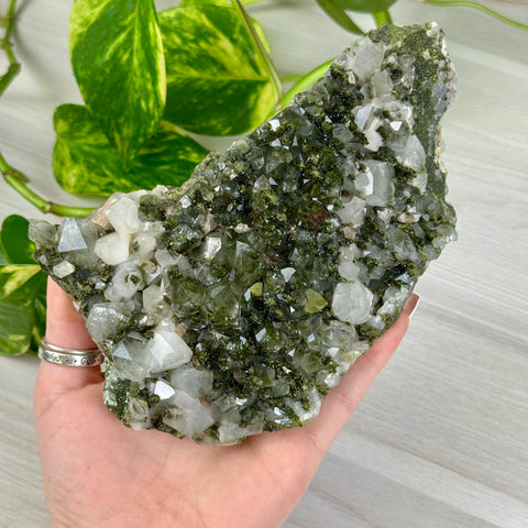 Forest Quartz