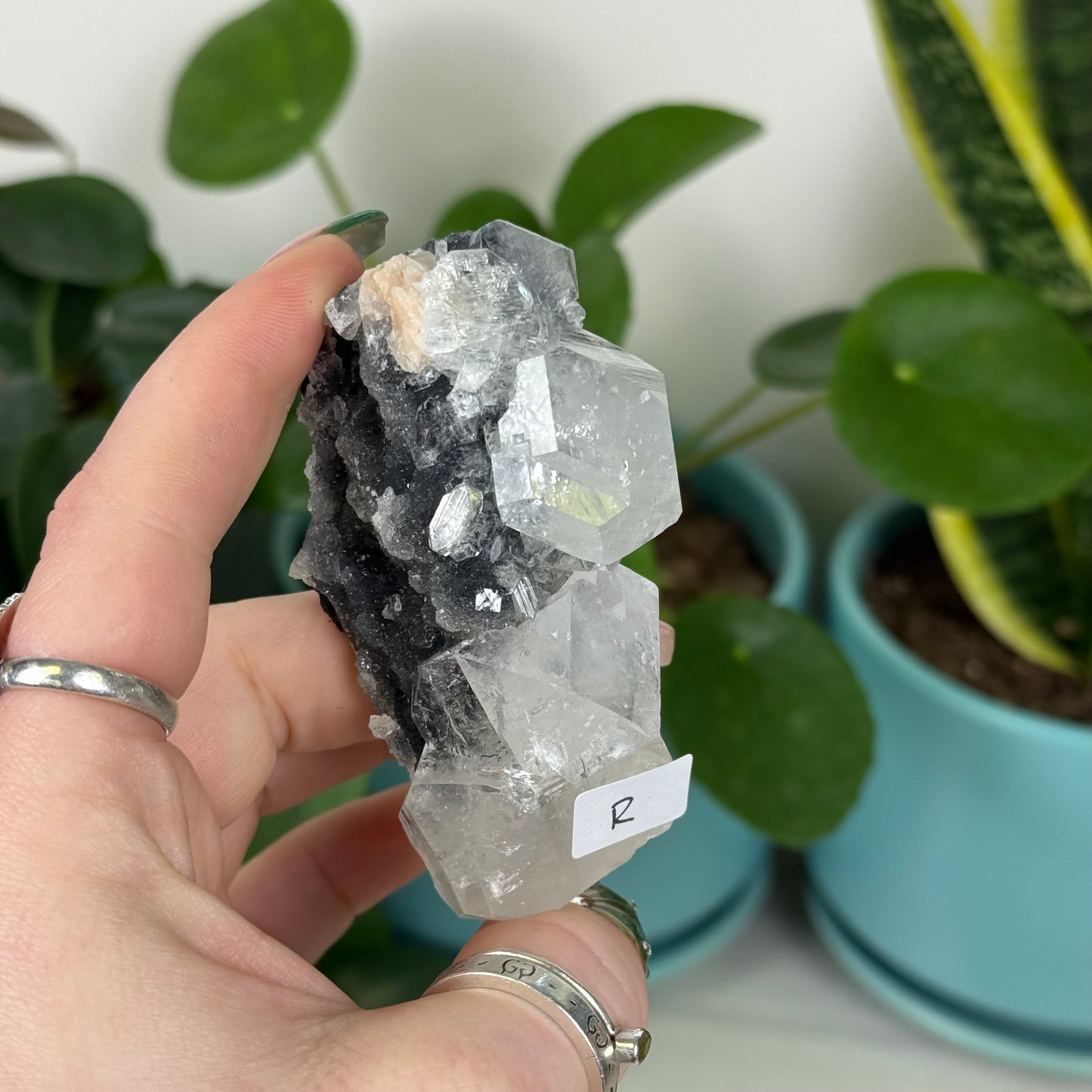 Black Chalcedony with Glossy Apophyllite