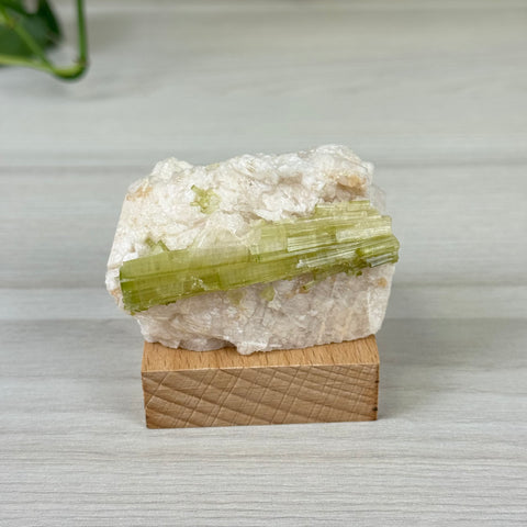 Green Tourmaline On Albite