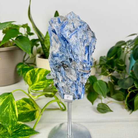 Kyanite Cluster (W/ Custom Stand)