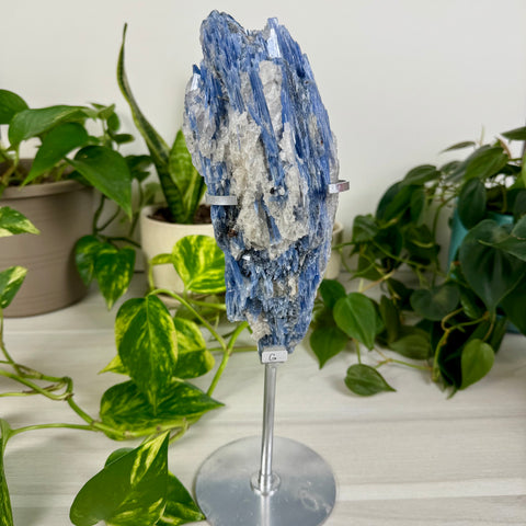 Kyanite Cluster (W/ Custom Stand)