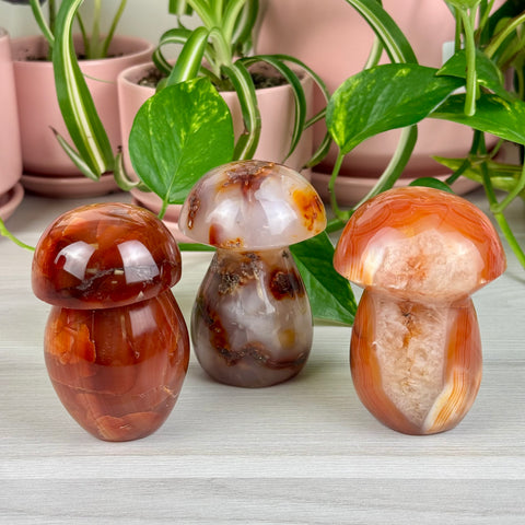 Carnelian Mushroom - Crystal Carving