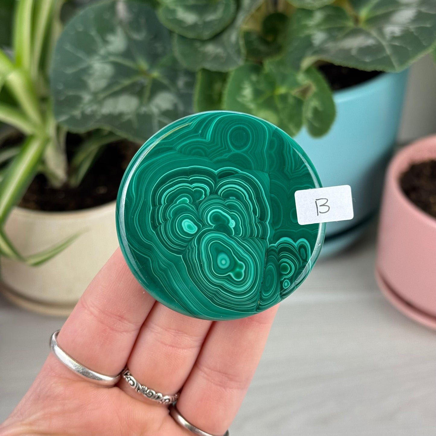 Malachite Cookie - B1