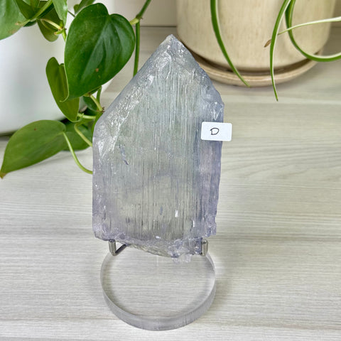 Bicolour Kunzite