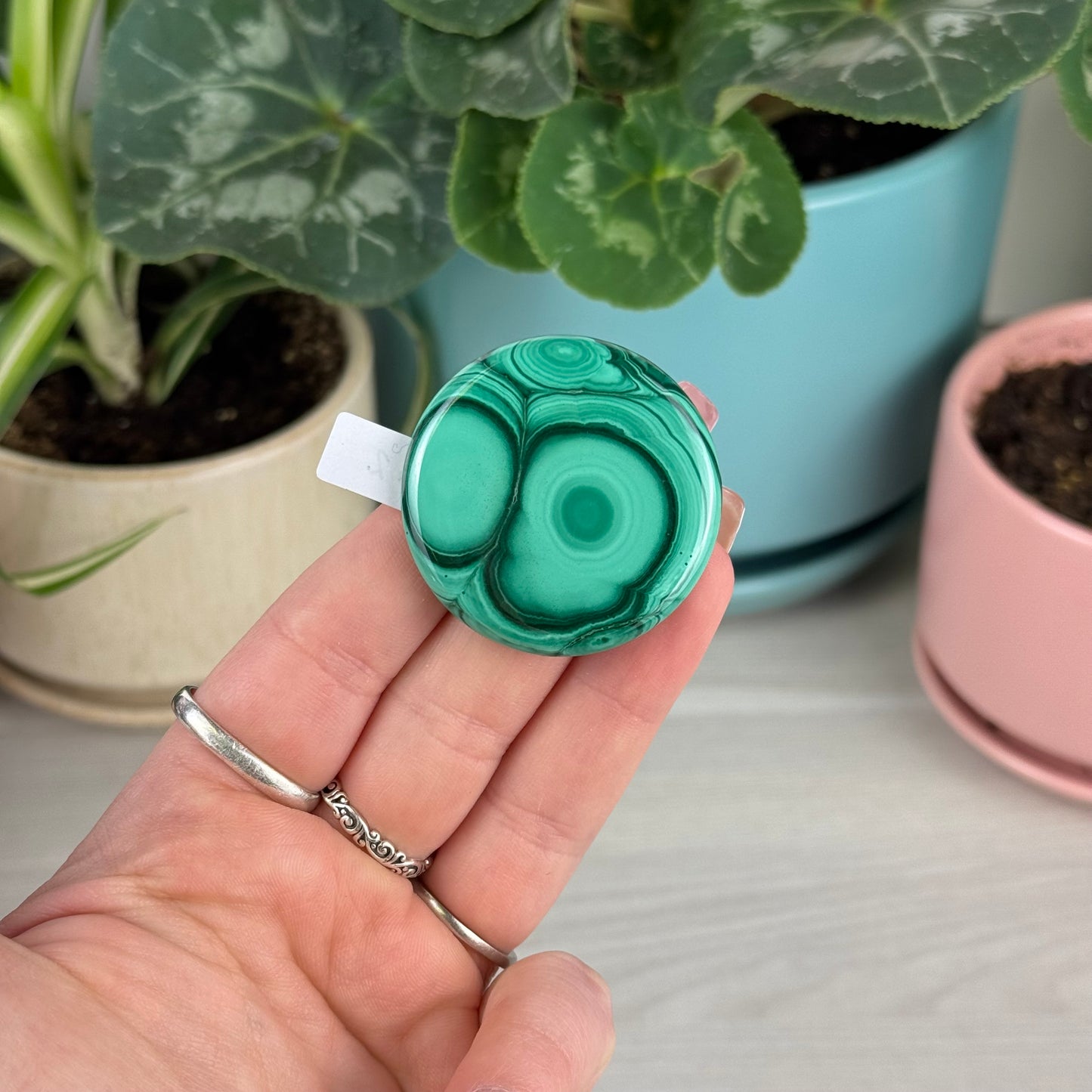 Malachite Cookie - G2