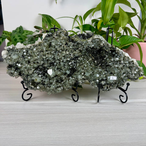 Black Epidote & Chlorite Quartz Specimen (Forest Quartz)