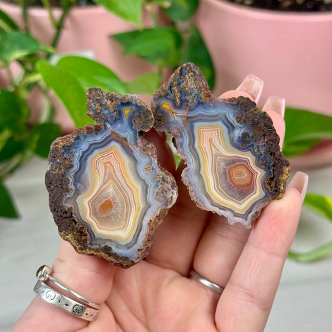 Perfect Malawi Agate Pair