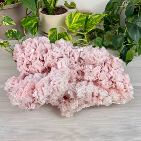 Statement Pink Halite - A